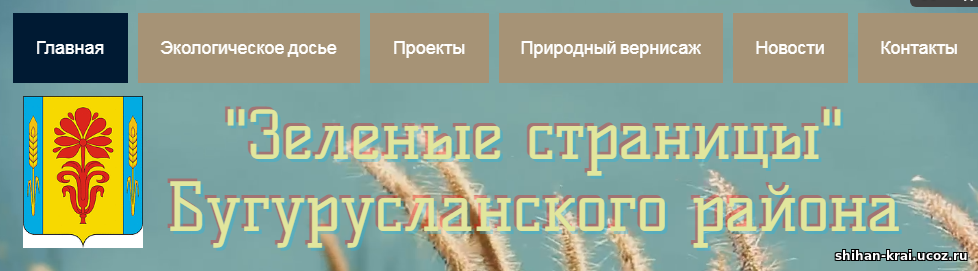 Экологическая страница